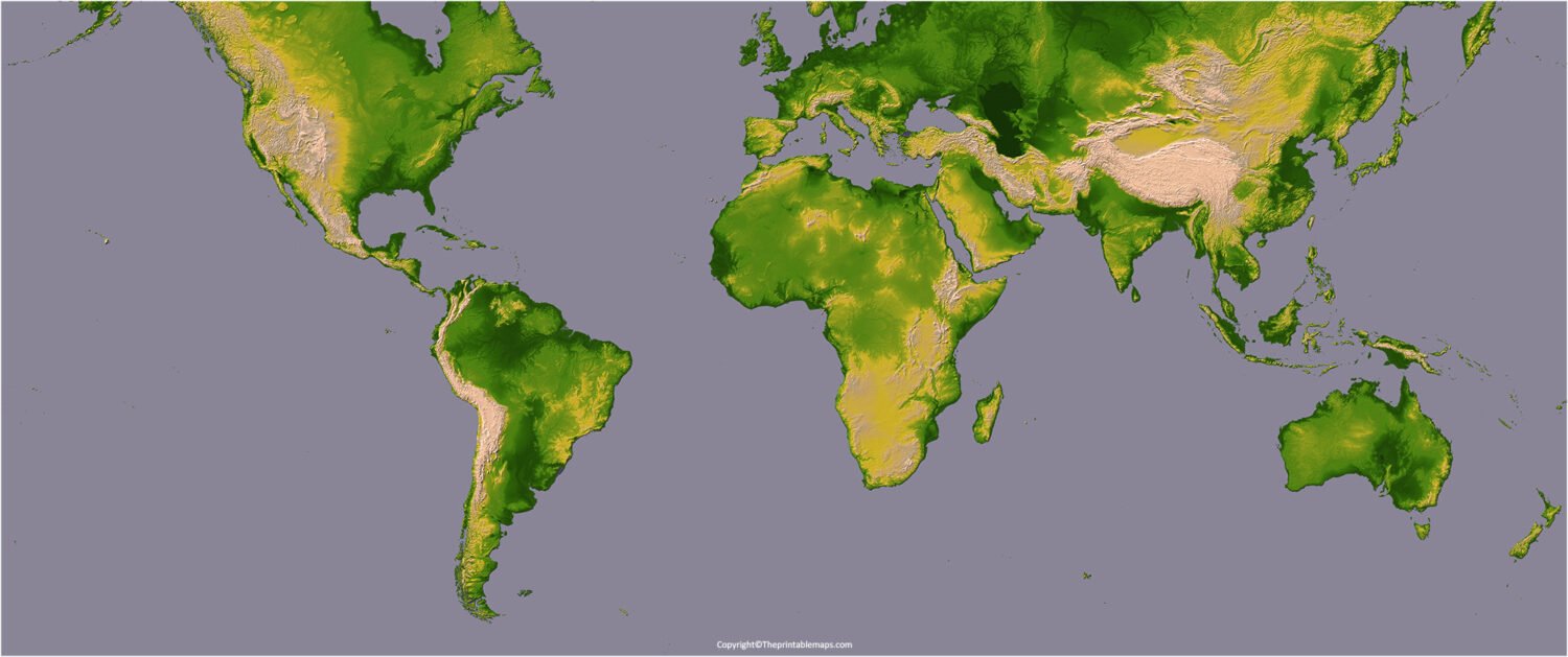 World Topographic Map | Earth's Terrain and Elevation